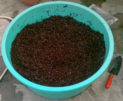 cocopeat-perlite-seed-starting-mix