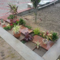 STEPPING STONE ARRANGEMENT PLANTS SALVIA FERN LINARIA TILE DECORATIVE PLANTER STONE CERAMIC LANDSCAPE DESIGN GARDEN BLOG BUDSCAPE 1