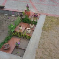 STEPPING STONE ARRANGEMENT PLANTS SALVIA FERN LINARIA TILE DECORATIVE PLANTER STONE CERAMIC LANDSCAPE DESIGN GARDEN BLOG BUDSCAPE