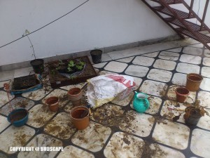 GARDENING PLANTING MESS