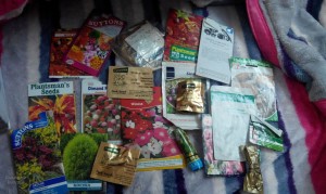 SEED COLLECTION