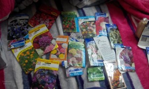 SEED COLLECTION