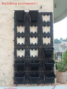 VERTICAL GARDEN WITH CLIP ON POTS