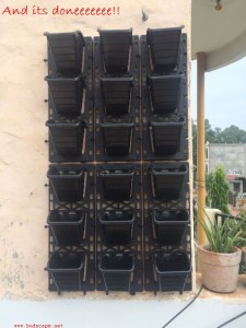 READY MADE VERTICAL GARDEN