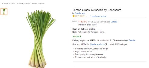 BUY LEMONGRASS SEEDS ONLINE AMAZON