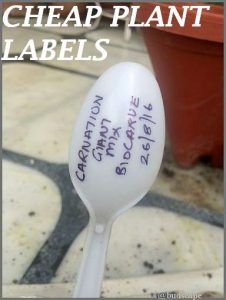 MAKE PLANT LABELS EASY DIY