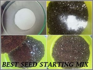 Make your own seed starting mix for best results