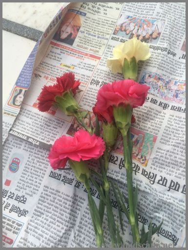 rooting-carnation-flower-sticks-2