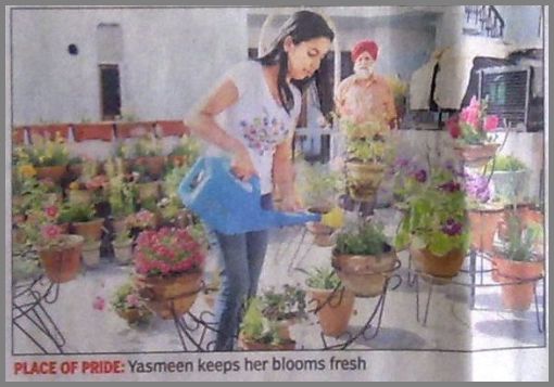 PLANT WATERING GUIDELINES