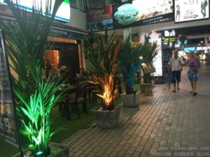 LIGHTING UNDER PALMS IN POT