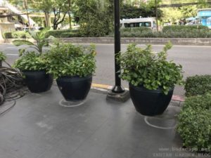 BIG CERAMIC PLANTERS