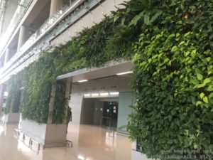 VERTICAL GARDEN AIRPORT THAILAND