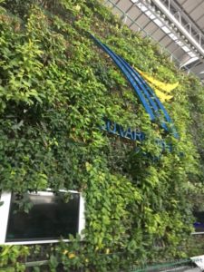 VERTICAL GARDEN INDOORS AIRPORT THAILAND