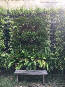 VERTICAL GARDEN THAILAND