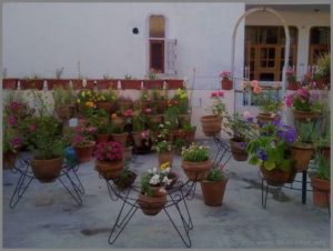 flower-garden-on-terrace