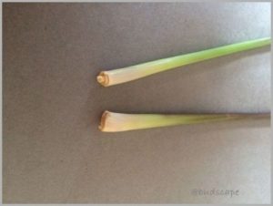 LEMONGRASS BENEFITS