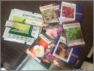 BUYING SEEDS ONLINE INDIA