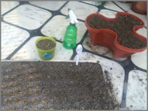 how-to-sow-seeds-01