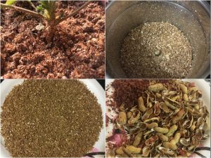 PEANUT SHELLS FOR GARDEN PLANTS