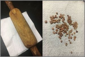 crush dhaniya coriander seeds before sowing fast germination